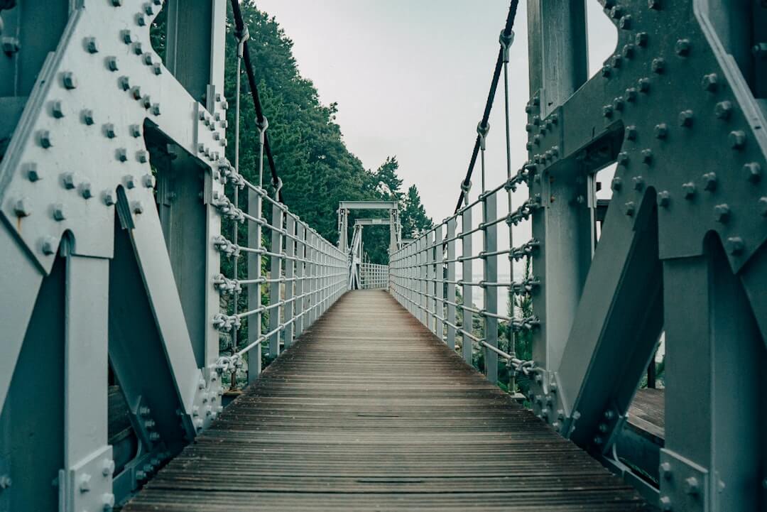 brown wooden bridge in between green trees during daytime